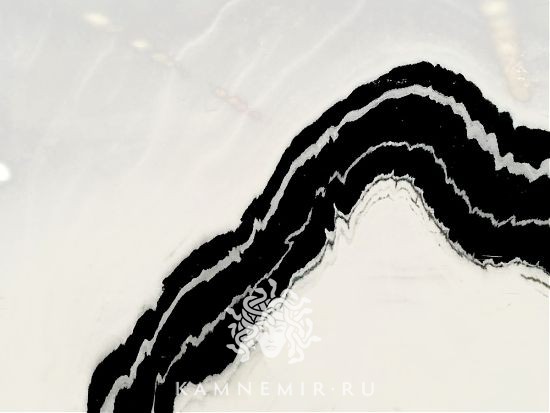 Panda White - изображение 2