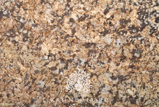 Spring Leaf - изображение 3