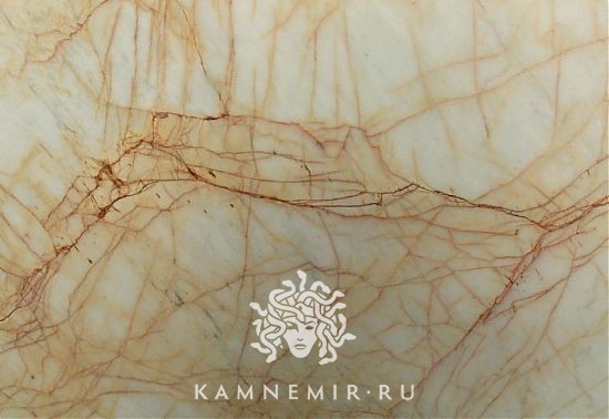 Golden Spider - изображение 3