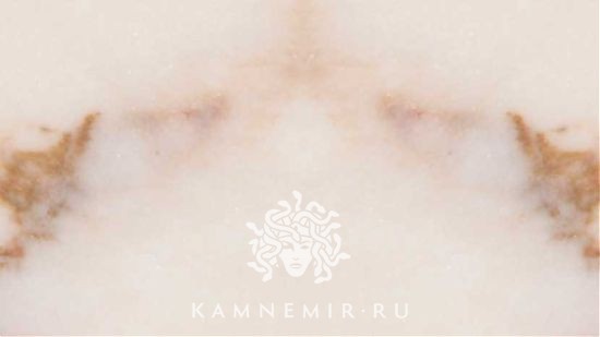 Rosa Aurora - изображение 3