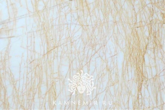 Golden Spider - изображение 4