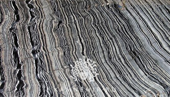 Black Wave - изображение 4