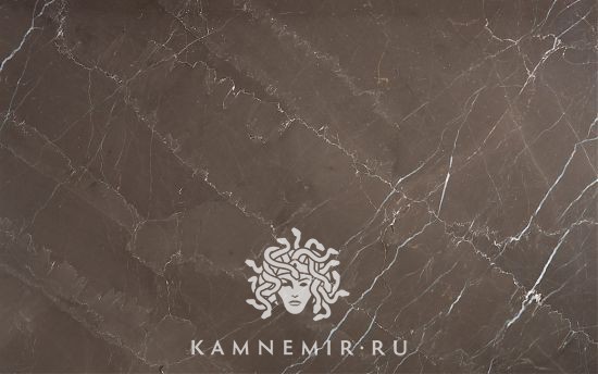 Bronze Amani - изображение 4