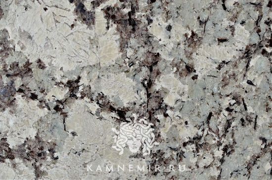 Alaska White - изображение 6