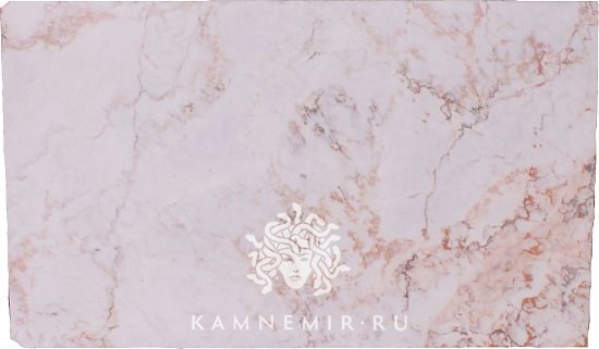 Rosa Aurora - фото 1