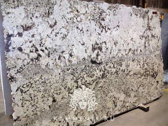 White Delicatus - фото 1