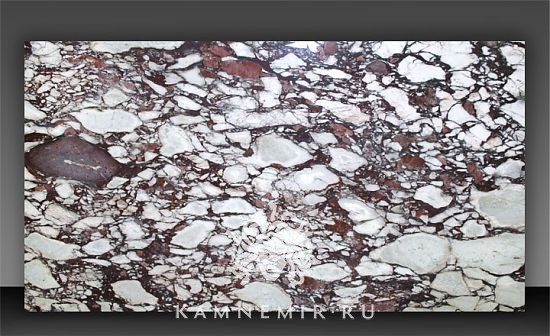 Calacatta Viola / Breccia Capraia - фото 1