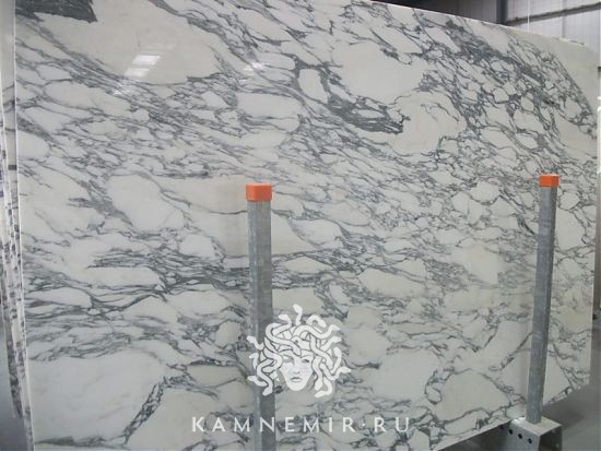 Arabescato Corchia - фото 2