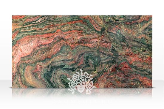 Kangaroo - фото 1