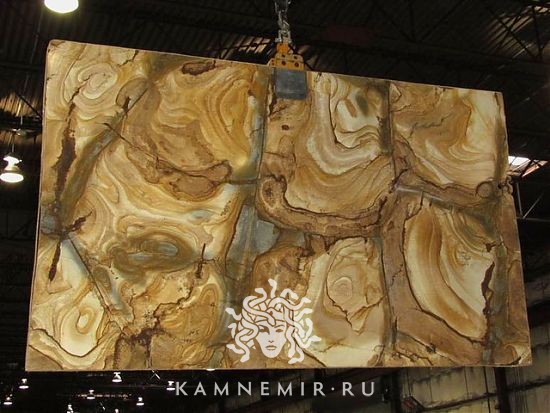 Stone Wood - фото 1