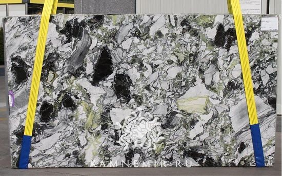 White Beauty - фото 1