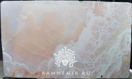 Onyx Rose - фото 2