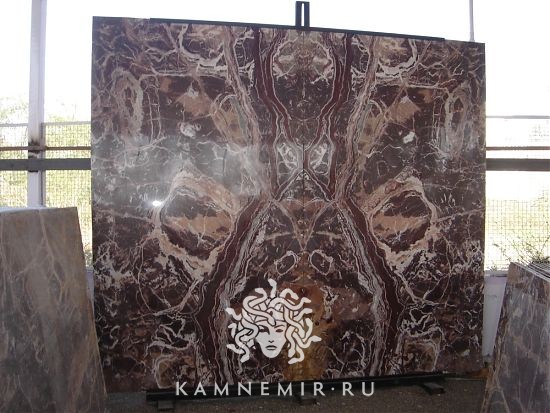 Brown Alligator - фото 3