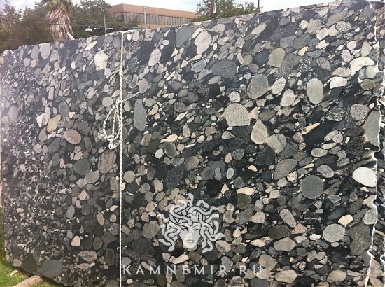 Black Marinace - фото 4