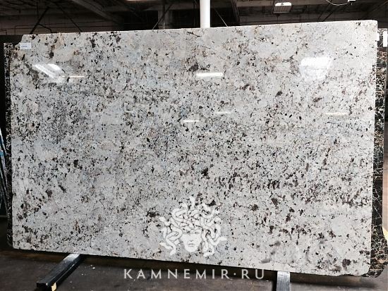 Alaska White - фото 6