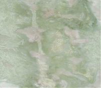 Фрагмент текстуры Bianco Green