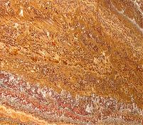 Фрагмент текстуры Onyx Jasper