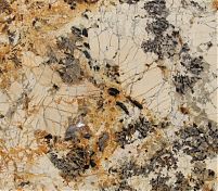 Фрагмент текстуры Delicatus Gold / Delicatus Brown