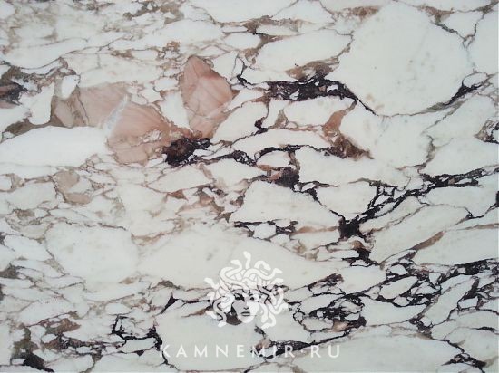 Calacatta Viola / Breccia Capraia - изображение 1