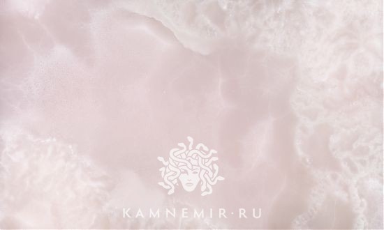 Onyx Rose - изображение 1