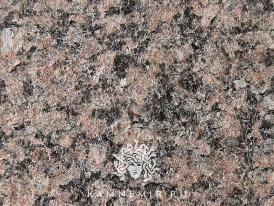 Ладожский - изображение 2