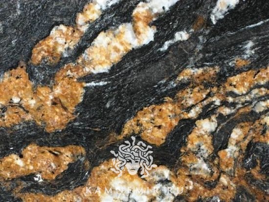 Black Taurus / Black Fusion - изображение 2