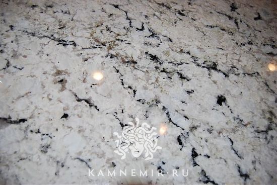 White Delicatus - изображение 2