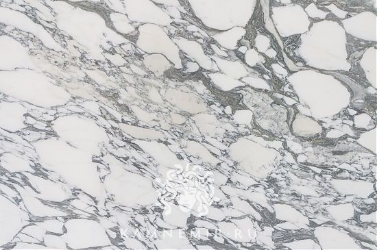 Arabescato Corchia - изображение 2