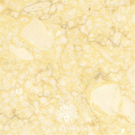 Sunny Dark / Sunny Gold - изображение 2