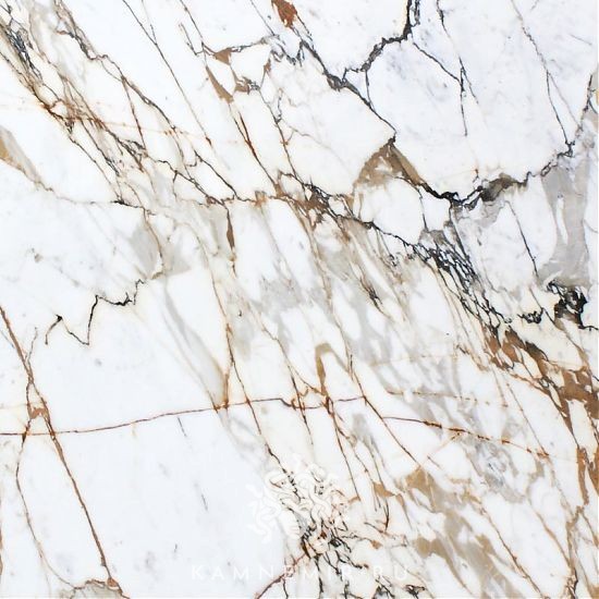 Paonazzo / Calacatta Paonazzo - изображение 3