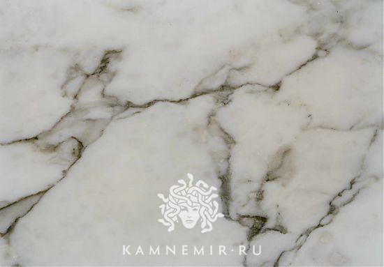 Arabescato Vagli - изображение 4