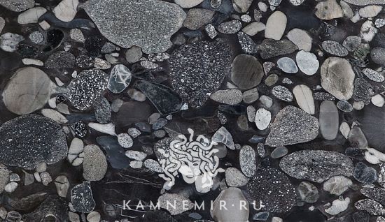 Black Marinace - изображение 4