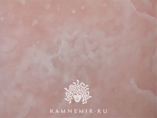 Onyx Rose - изображение 5