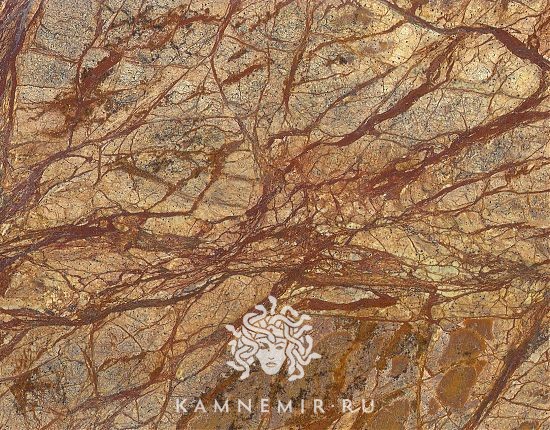 Bidasar Brown / Rainforest Brown - изображение 1