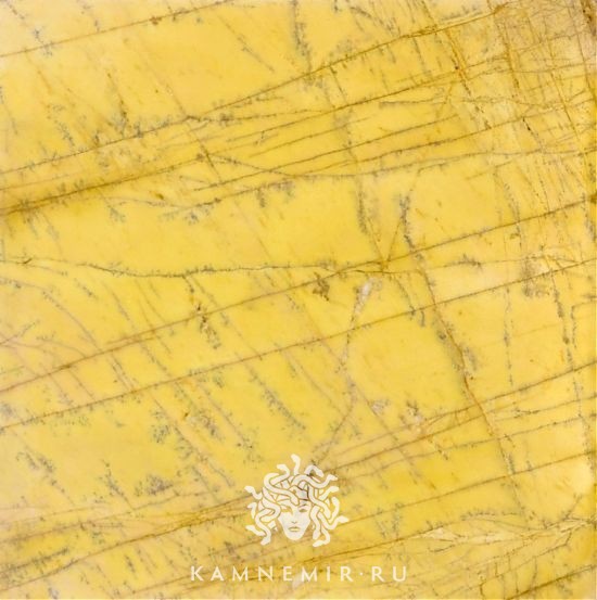 Amarillo Triana - изображение 1