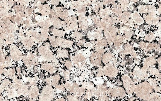 Rosavel - изображение 1