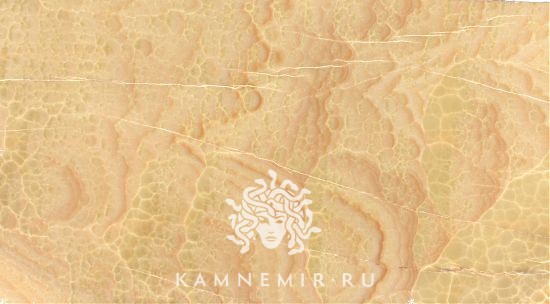 Onyx Honey - изображение 2