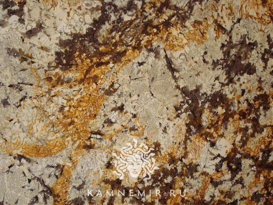 Delicatus Gold / Delicatus Brown - изображение 2