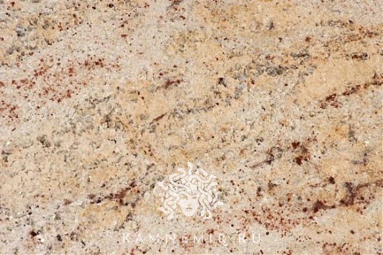 Ivory Brown / Shiva Gold