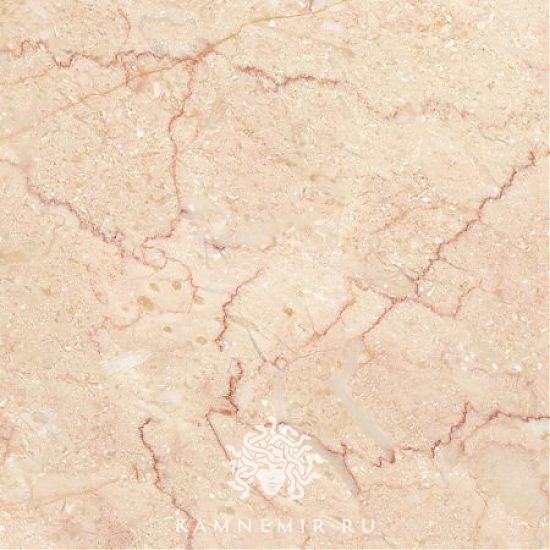 Rosalia - изображение 2