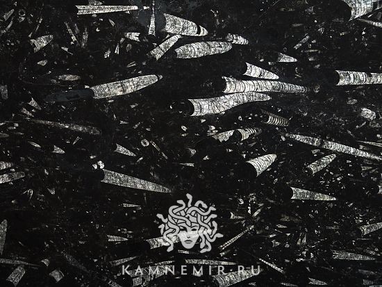 Black Fossil - изображение 3