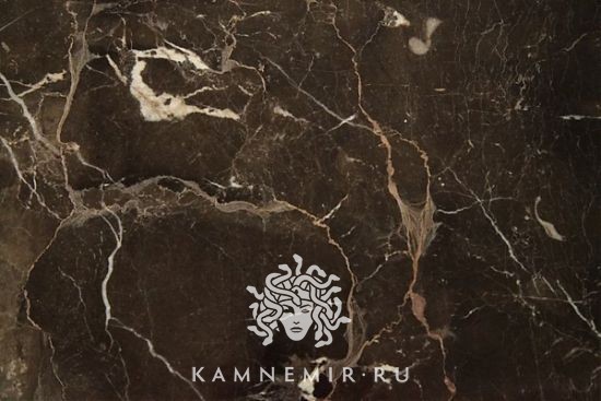 Saint Laurent / Noir St Laurent - изображение 3