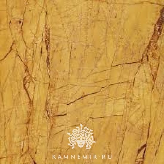 Amarillo Triana - изображение 3