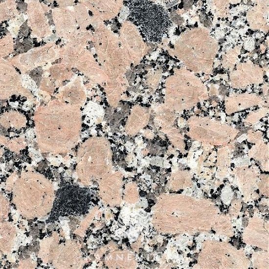 Rosavel - изображение 3