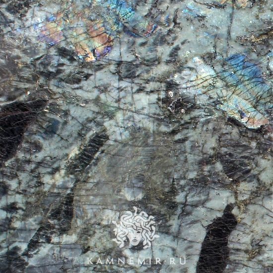 Blue Flowers / Big Flowers - изображение 4