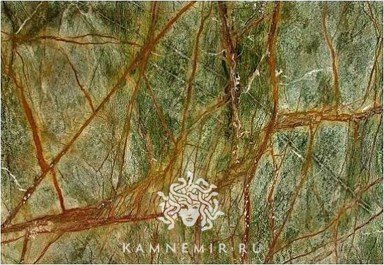 Bidasar Green / Rainforest Green - изображение 4