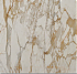 Calacatta Gold / Calacatta Oro - мини изображение 4