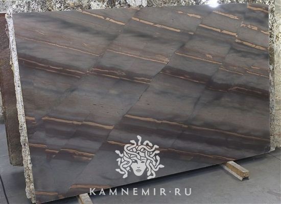 Elegant Brown - фото 1