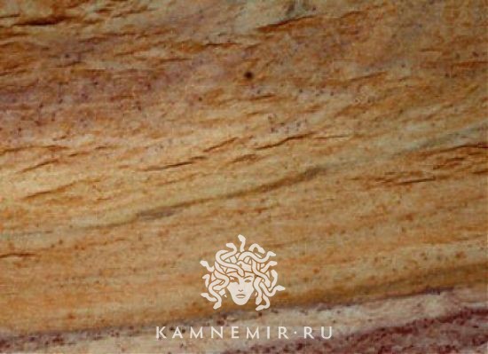 Calipso Gold / Calypso Gold 