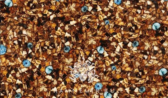 Agate RX - фото 1